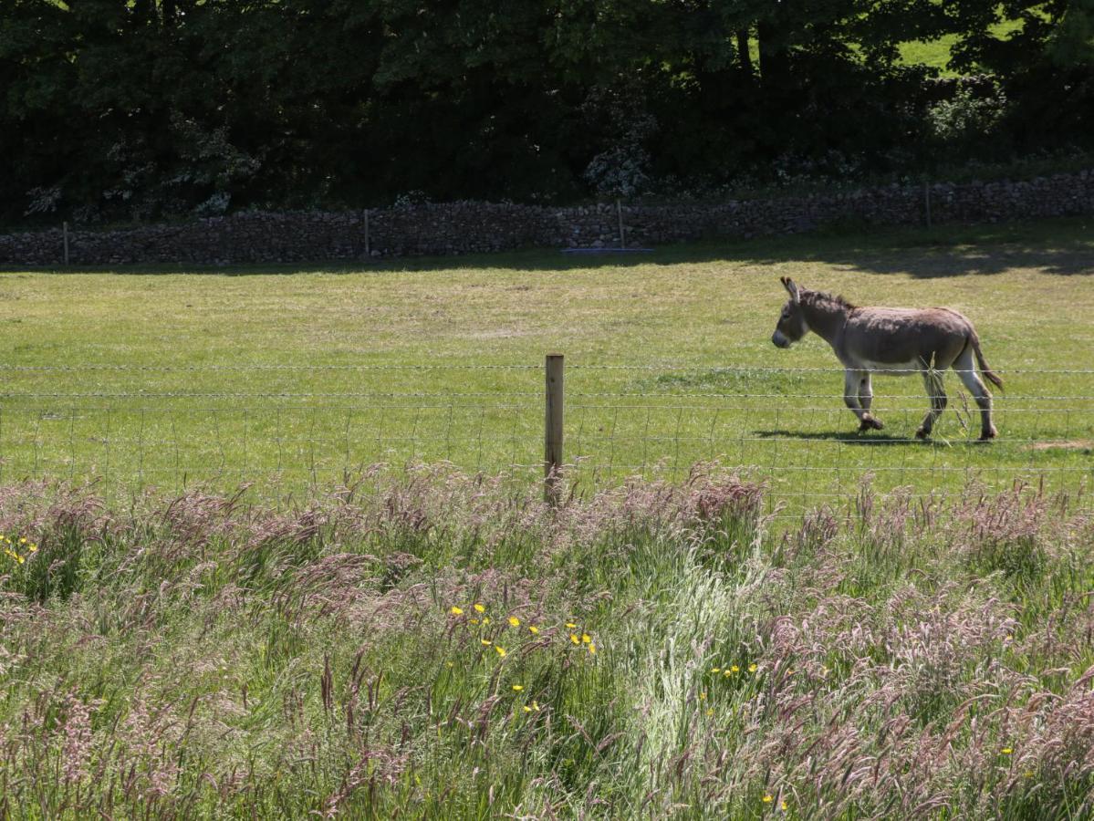 Rowan Villa Ulverston Eksteriør bilde